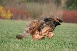 BRIARD 137